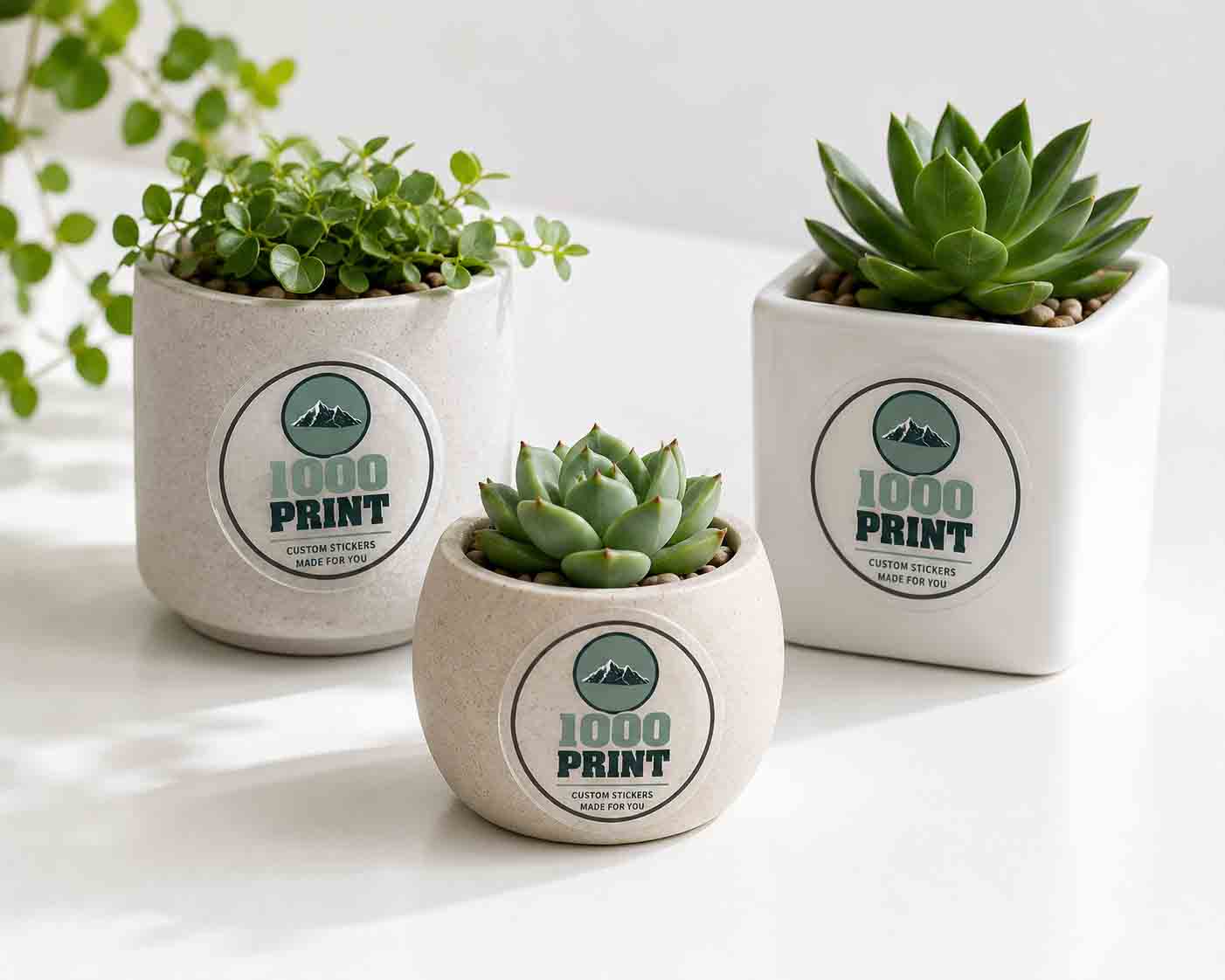 Custom Circle Clear Stickers | 1000 Print