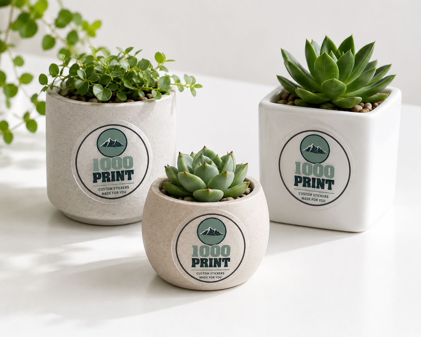 Custom Circle Clear Stickers | 1000 Print